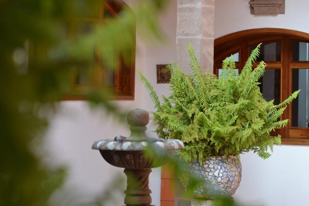 Hotel Casa Catalina サン・ルイス・ポトシ エクステリア 写真